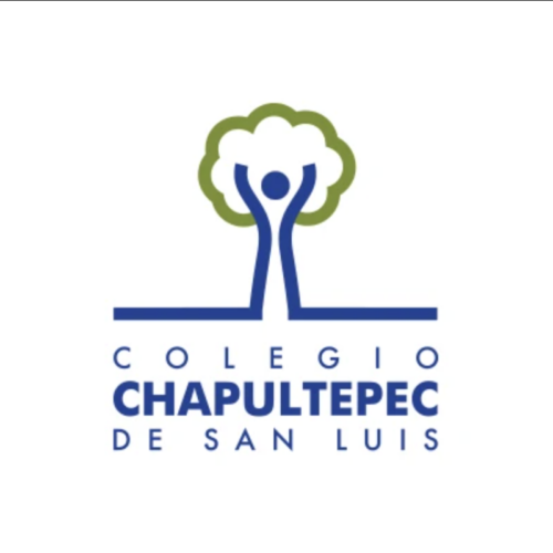 BRICK CLIENTE COLEGIO CHAPULTEPEC