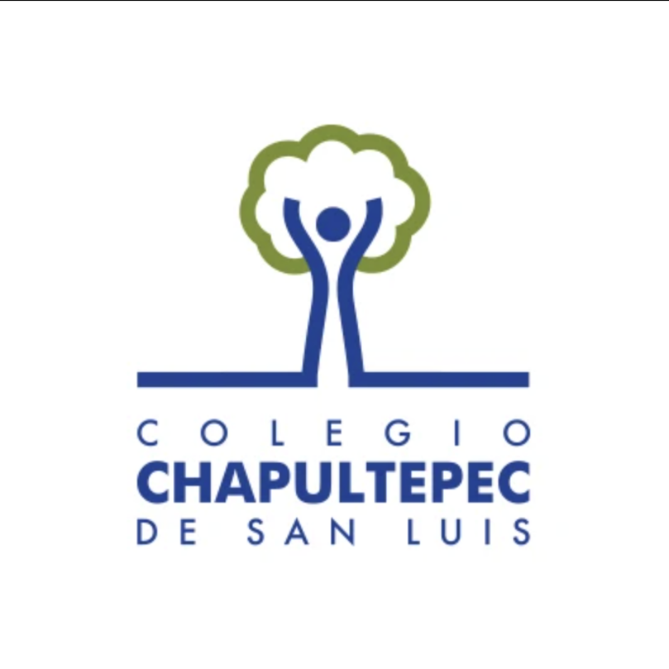 BRICK CLIENTE COLEGIO CHAPULTEPEC